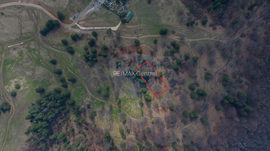 Teren Poiana Brasov, langa Stana turistica 1872mp, PUZ case/ pensiuni - 9