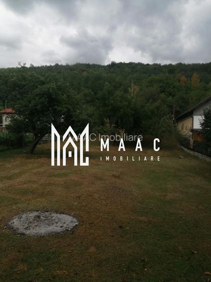 Teren Intravilan 10.000 mp | Livadă + Pădure de salcâm | Bărbătești - 2