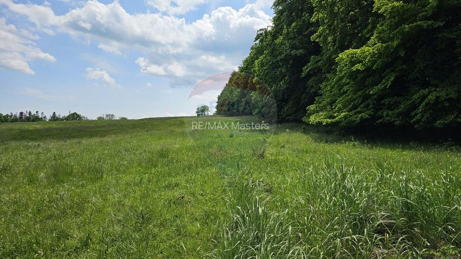 Teren Ilisesti  7000mp extravilan/ DN 17, Suceava - 15