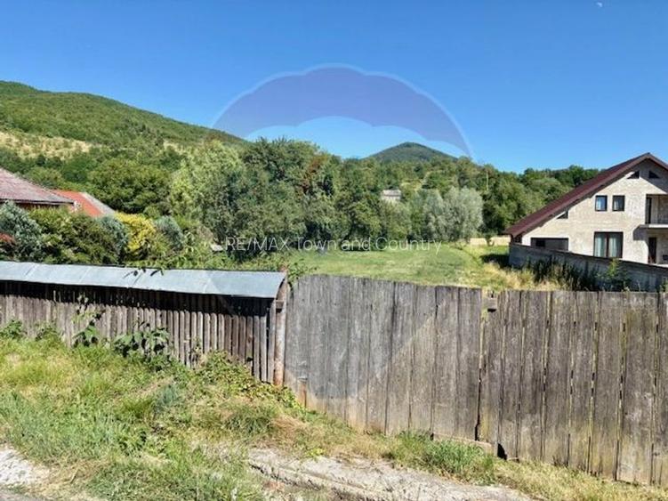 Teren 3,154mp Barsana / Intrarea principala - 2