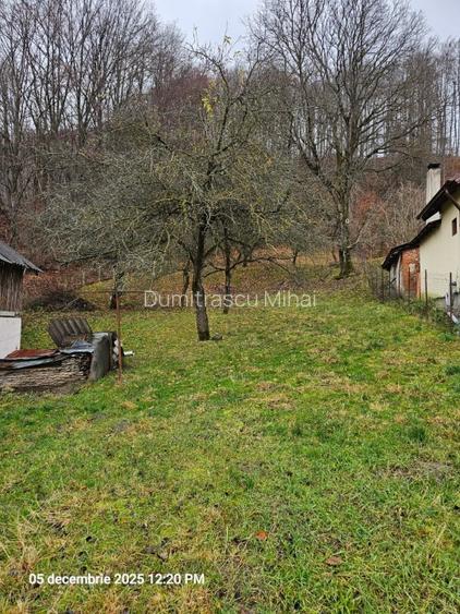 Casa modernizata in Campulung Muscel,padure proprie, toate utilitatile - 6