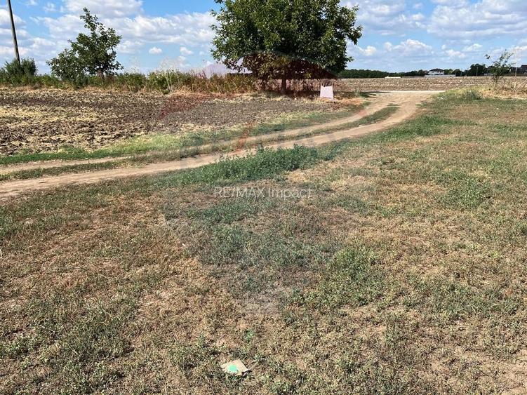 De vanzare teren, intravilan 4000 mp, deschidere 150 m,  Fundulea - 8