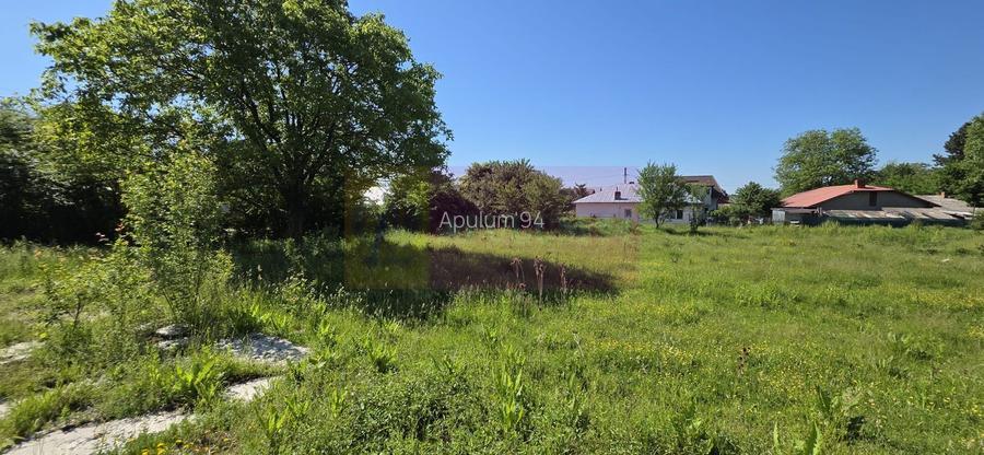 Teren intravila 40.679 mp in Campina, dezvoltare imobiliara - 5