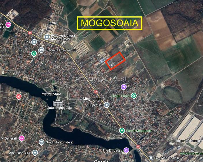 MOGOSOAIA - Teren construibil cu PUZ 2024 / 6000mp - 2