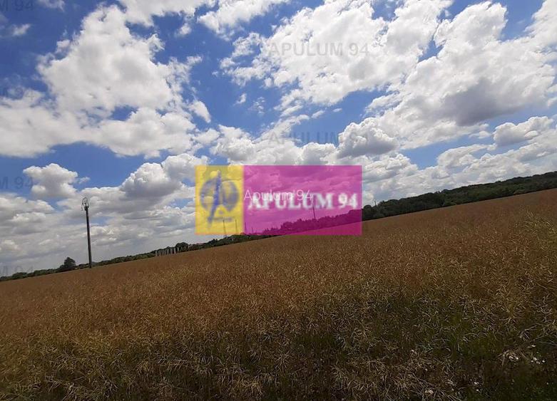 Teren 715mp în Snagov lângă Equestria - 55