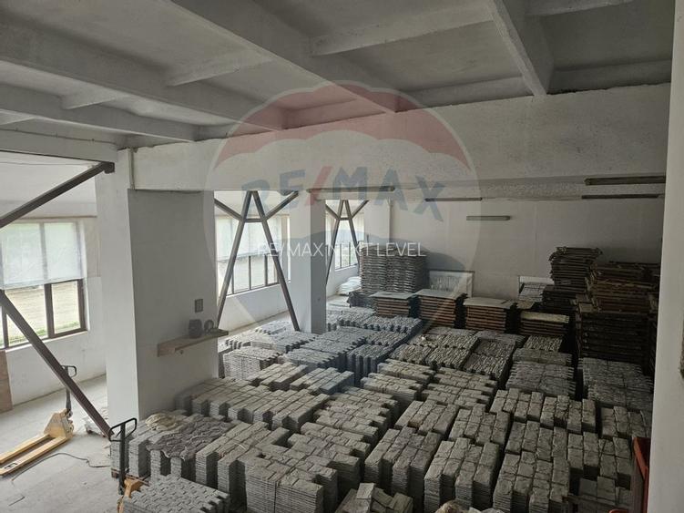 Hala industriala de inchiriat 340 mp, str. Bradului - 8