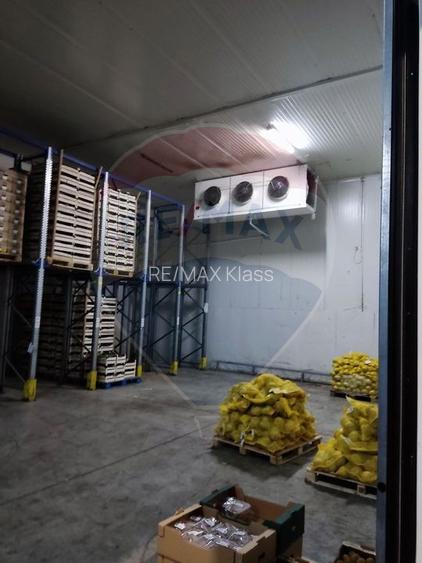 Depozit frigorific  hala ideal legume, fructe, flori - 2