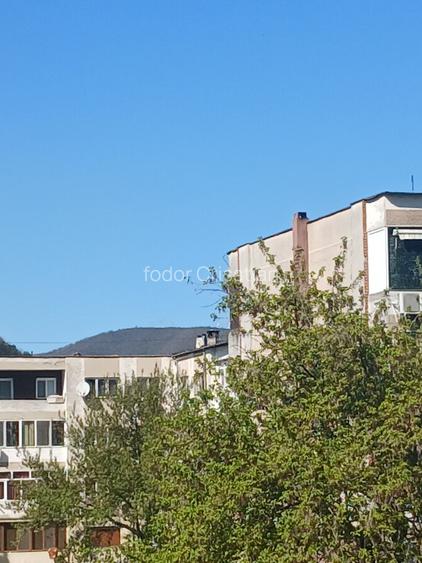 Apartament priviri la 3 dealuri ,langa primarie ,spital,lidl,profi,carrefour - 3