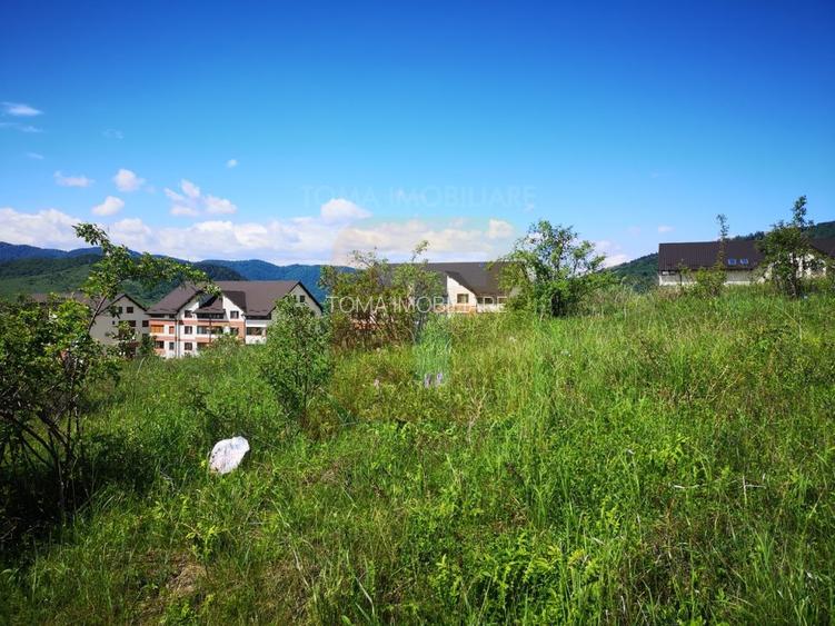 Oportunitate ! Teren intravilan 650 mp, Calea Romanului, Piatra Neamț - 13