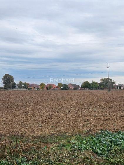 Teren intravilan 6700mp - 2