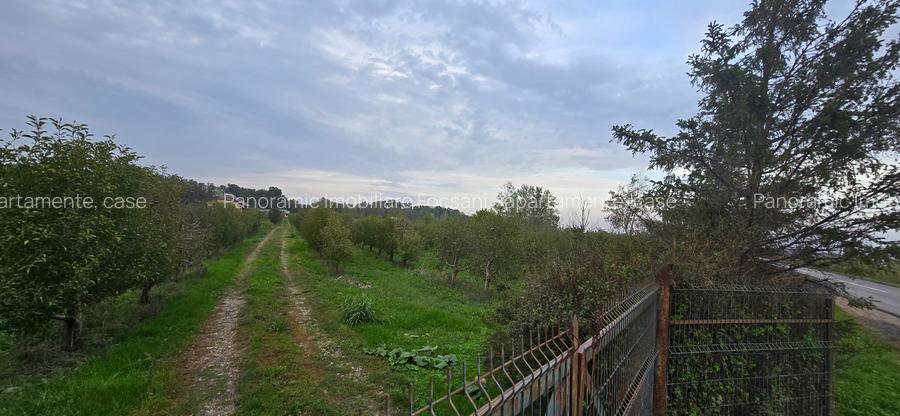 LIVADA  DE VANZARE FOCSANI-DUMBRAVITA  1,8  HA - 11