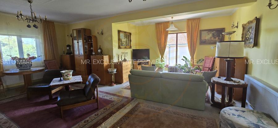 De Vânzare Casă zona Lucian Blaga Satu Mare - 13