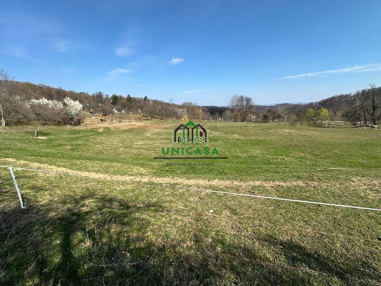 Teren Govora / 8131mp - 3