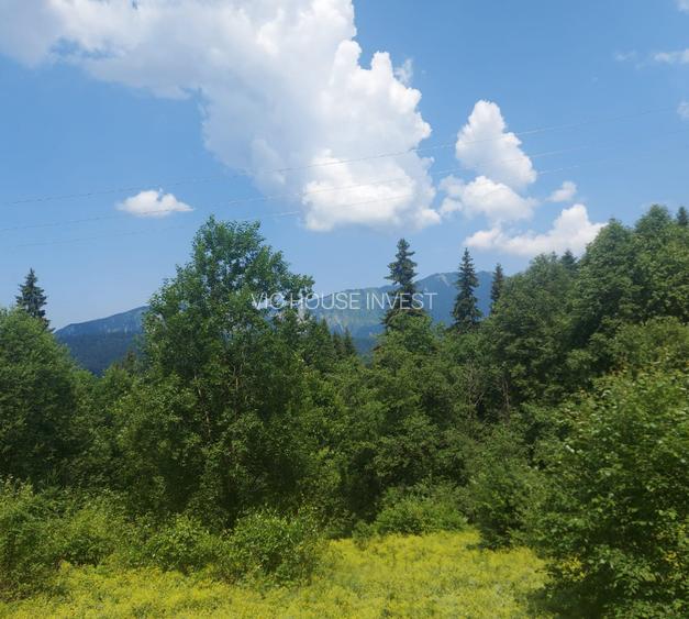 Teren Cioplea Predeal - 5