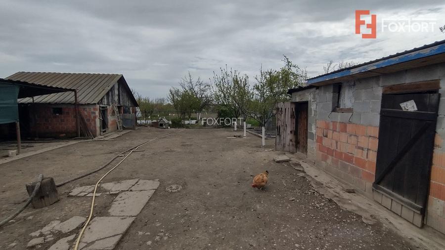 Casa individuala 3 camere, Sanmihaiu Roman - Anexe, 1062 mp teren - 11