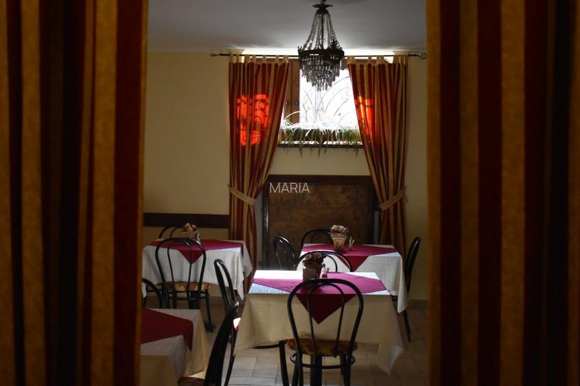 DE VANZARE Villa  Boutique  Hotel4*Zona istorica Timisoara - 6