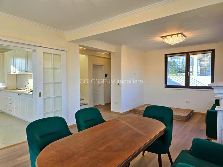 Case individuale, S+P+1, Hlincea - manastirea Cetatuia - 11