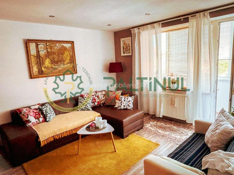 Apartament 2 camere cu balcon, renovat complet, Terezian - 3