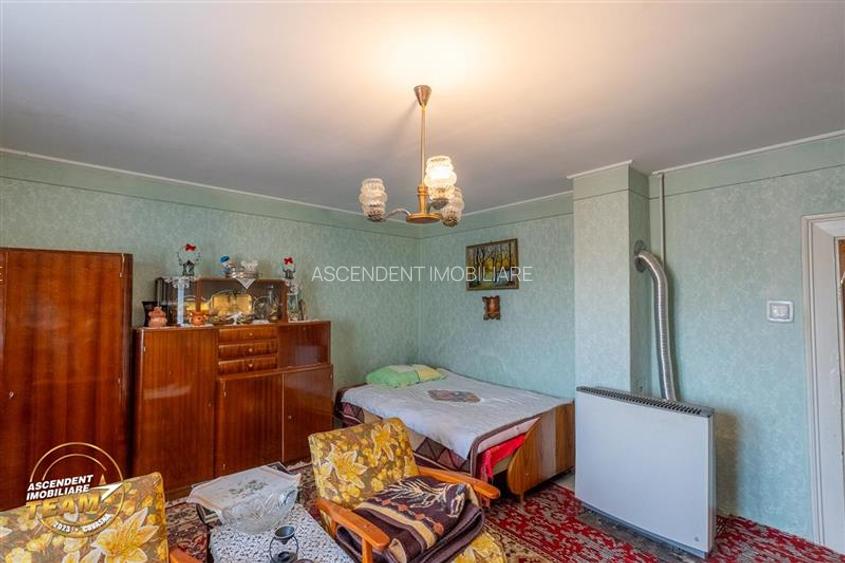 Casa in inima statiunii Covasna, cu gradina, vie si pomi fructiferi - 20