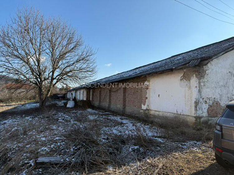 Spatiu comercial/Industrial multifunctional: productie, depozitare, logistica, R - 3