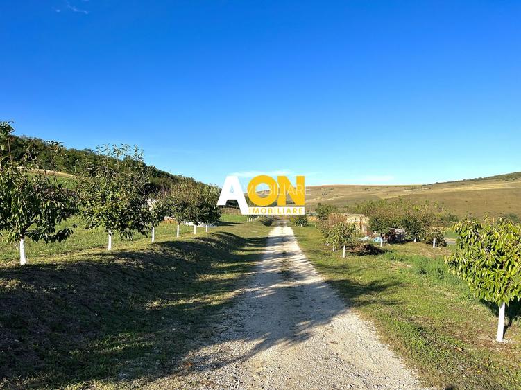 Ferma de vanzare cu 550MP utili si 27.500MP teren la asfalt - 29