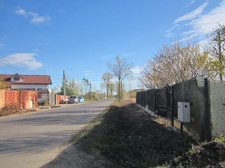 Domnesti-Teghes - 12