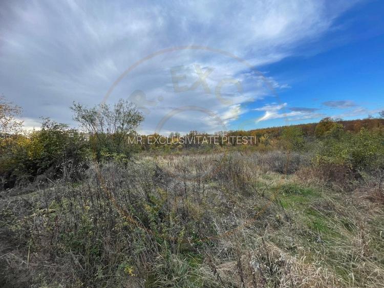 Teren intravilan 6975 mp front stradal 47.70 m in Mosoaia Arges si padure bonus - 7