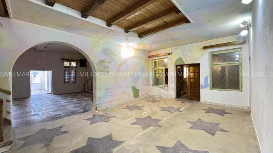 Spații de Inchiriat - Proprietate cu funcțiuni mixte – Str. Căplenilor Carei - 6