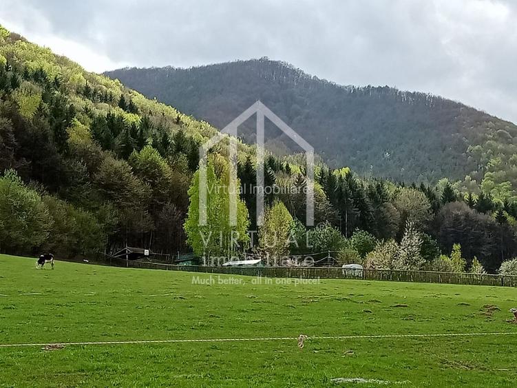 Teren intravilan de vanzare in Tocile, 3862 mp, priveliste spre padure - 2