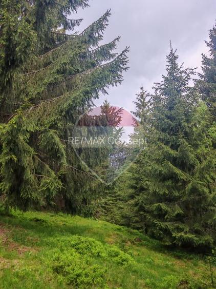 Cabană de vânzare în Muntele Băișorii – Zona Jera