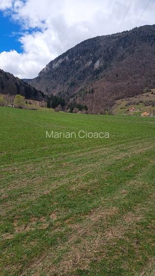 Teren intravilan de vânzare la munte ! - 14