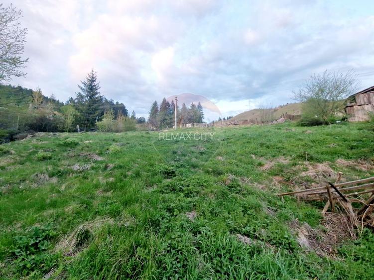 Teren cu vedere la Muntele Ceahlau - 4