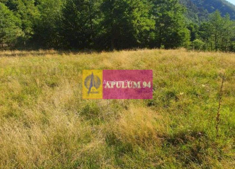 Teren Județul Vâlcea - Brezoi, Valea lui Stan - 30