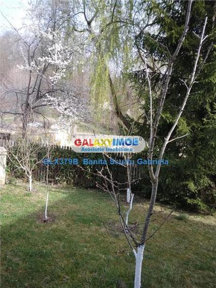 Vanzare vila  4 camere ,730 mp zona Izvoarele, jud Prahova - 9