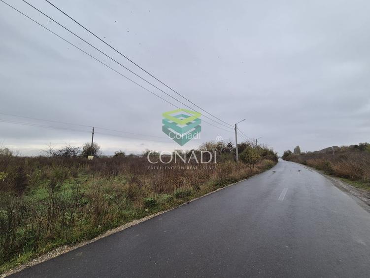 Teren cu PUZ si Autorizatie - Otopeni - 3
