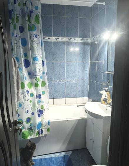Apartament 3 camere, etaj 3/10, balcon, 8min Metrou, Liceul Eugen Lovinescu - 8