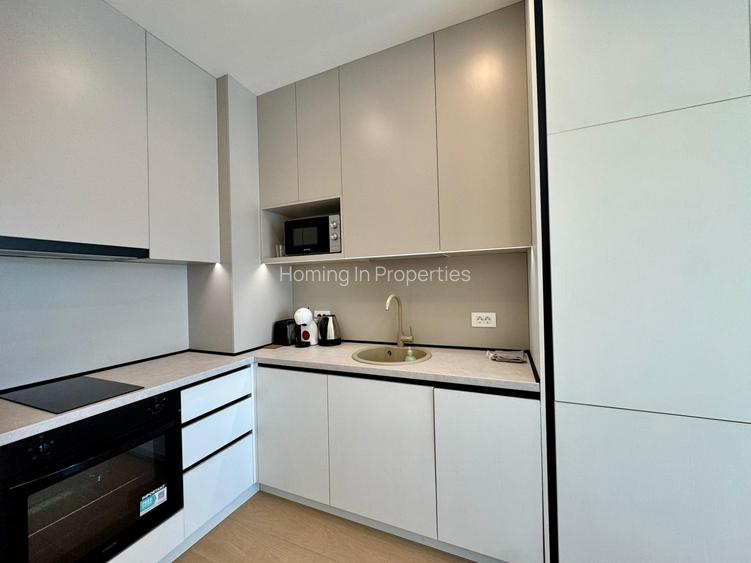 Aviatiei Towers 2 Rooms - First Rent - 10