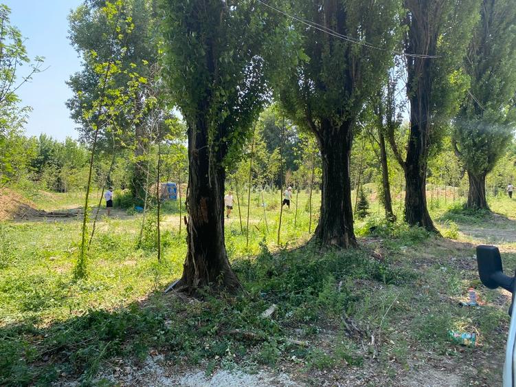 Teren construcții 3 loturi Intrarea Serelor/ Iuliu Hațeganu  - 2