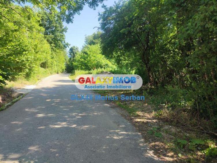 Vanzare teren intravilan, Razvad - 16