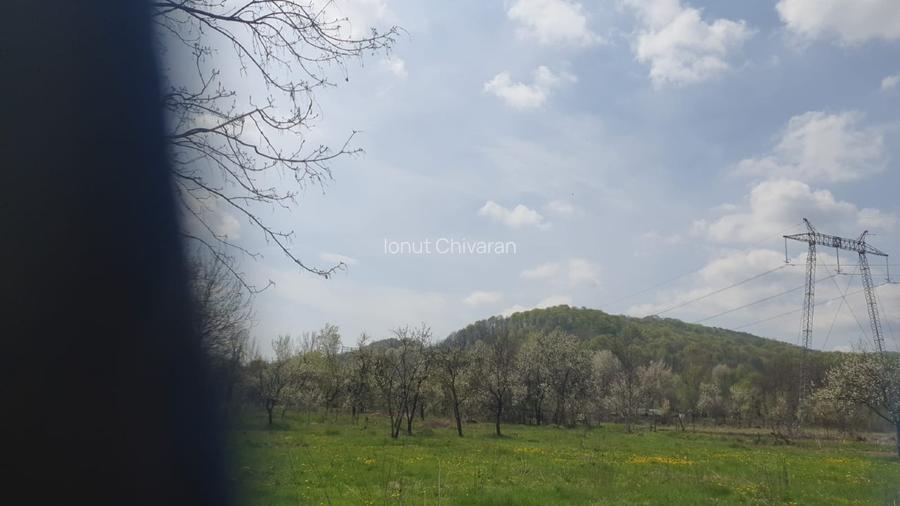 OPORTUNITATE UNICĂ ÎN TOMȘANI (LÂNGĂ HOREZU) – ANSAMBLU TERENURI 9.364 MP - 4