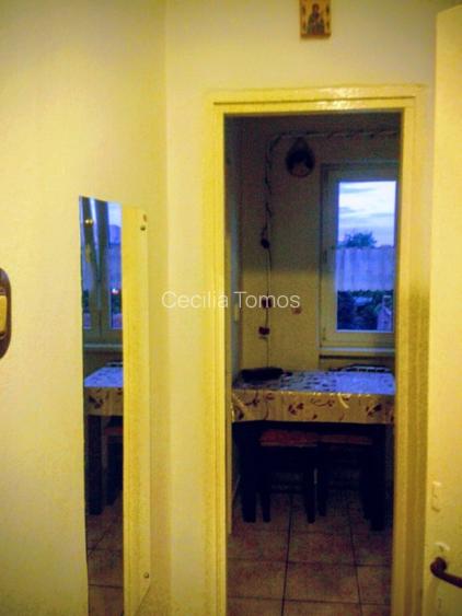 Vand apartament 2 camere, zona Podgoria – Piața  Mică – vedere la Parc Pădurice - 4