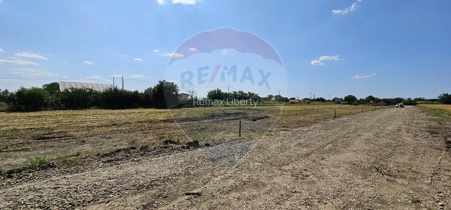 Terenuri intravilane Frumușani – Preț excelent, investiție sigură! - 3