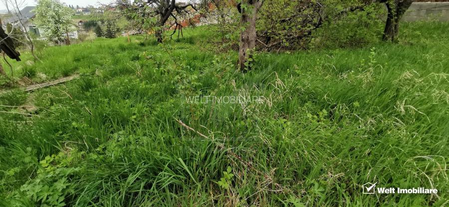 Teren intravilan in Feleacu-Cluj, cu utilitati,  priveliste frumoasa - 5