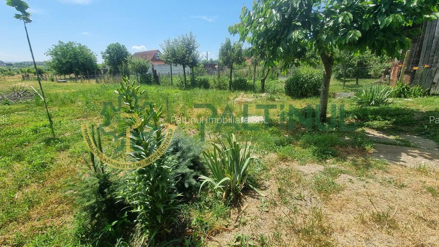 Casă individuală cu curte 867 mp, foișor și anexă – Turnișor, Sibiu - 9