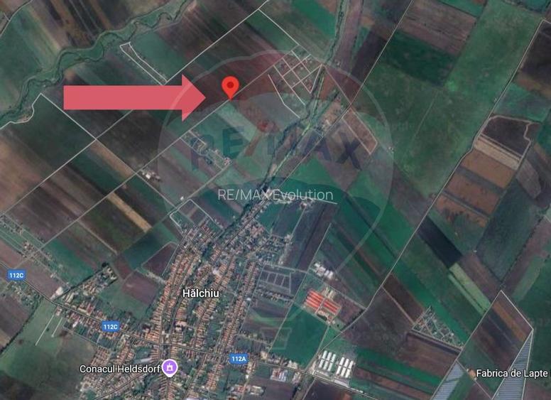 Teren 30.000 MP | Halchiu |  Jud. Brasov - 6