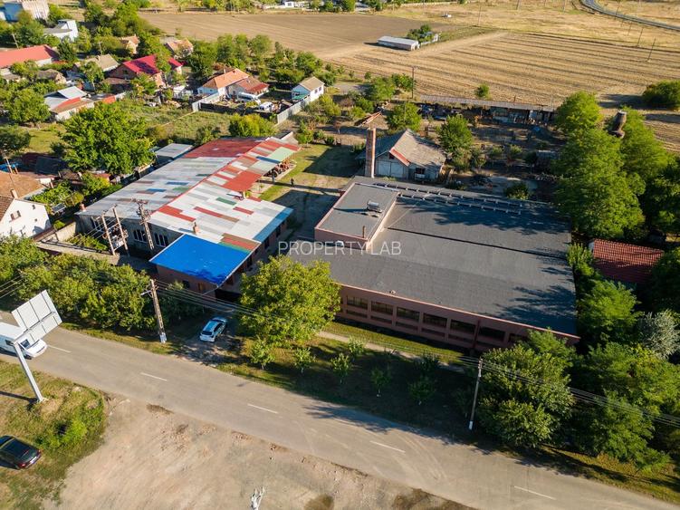 Hală industrială cu multiple destinații în Nădlac - 49