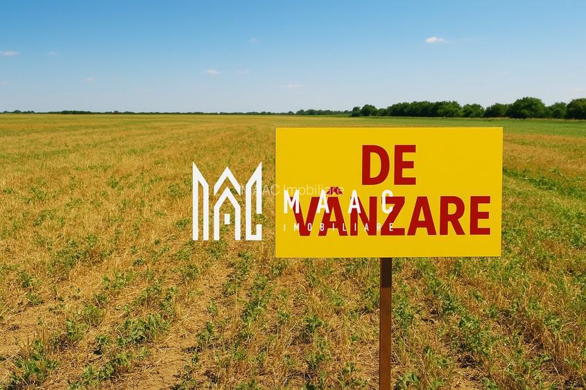 Teren | Extravilan |  2.269 MP | Daia - 3