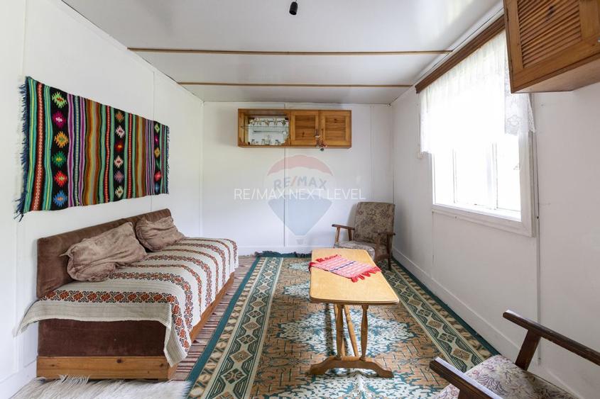 Ferma de vanzare, teren 21436 mp intravilan, Cosnea, Agas - 10