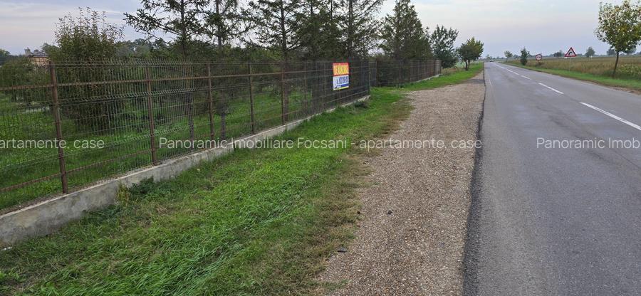 LIVADA  DE VANZARE FOCSANI-DUMBRAVITA  1,8  HA - 2