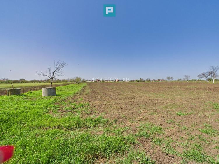 Casă cu grădină mare la 30 km de Timișoara - 26